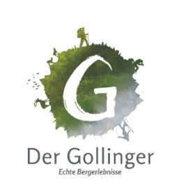 Hotel Der Gollinger